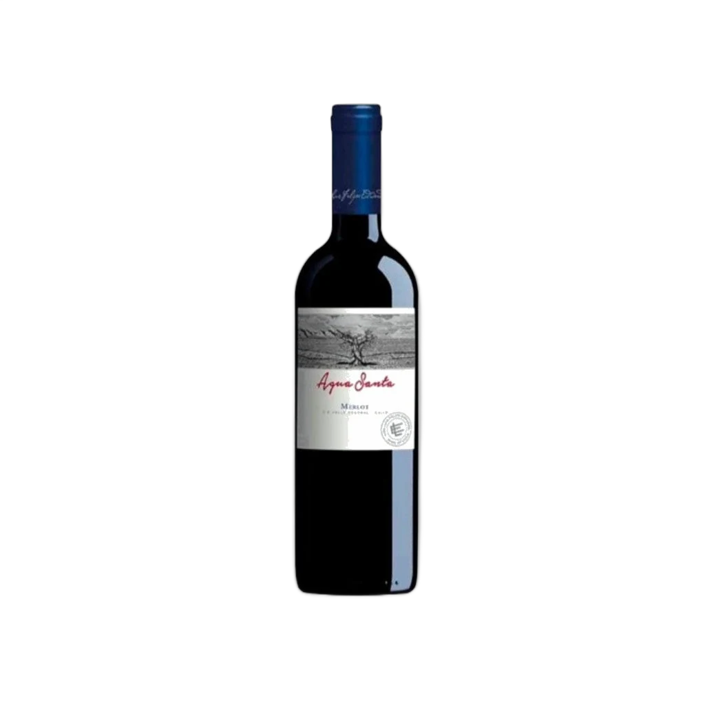 agua-santa-merlot-0-75-lt-bot