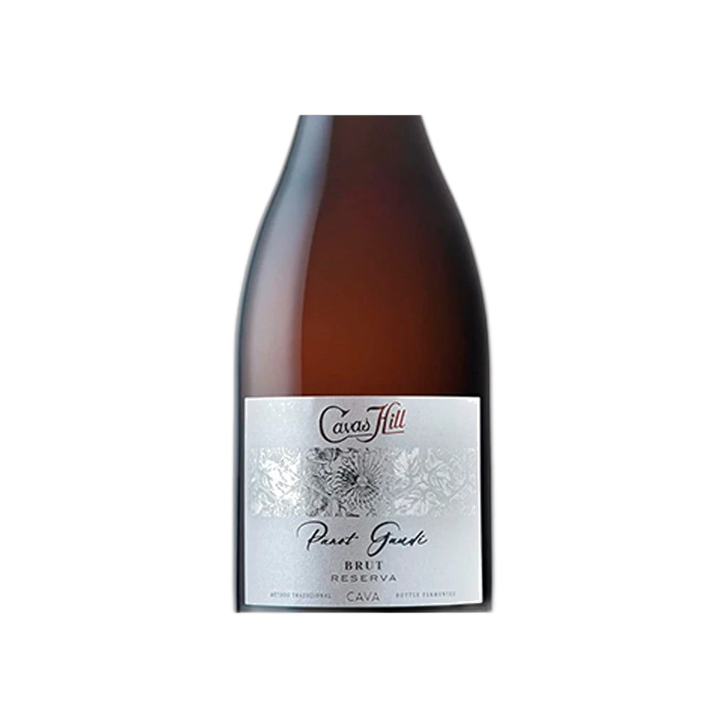 cava-hill-panot-gaudi-brut-reserva-0-75-lt-bot