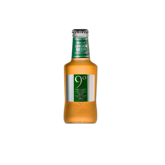 9-grados-ginger-beer-0-2-lt-bot
