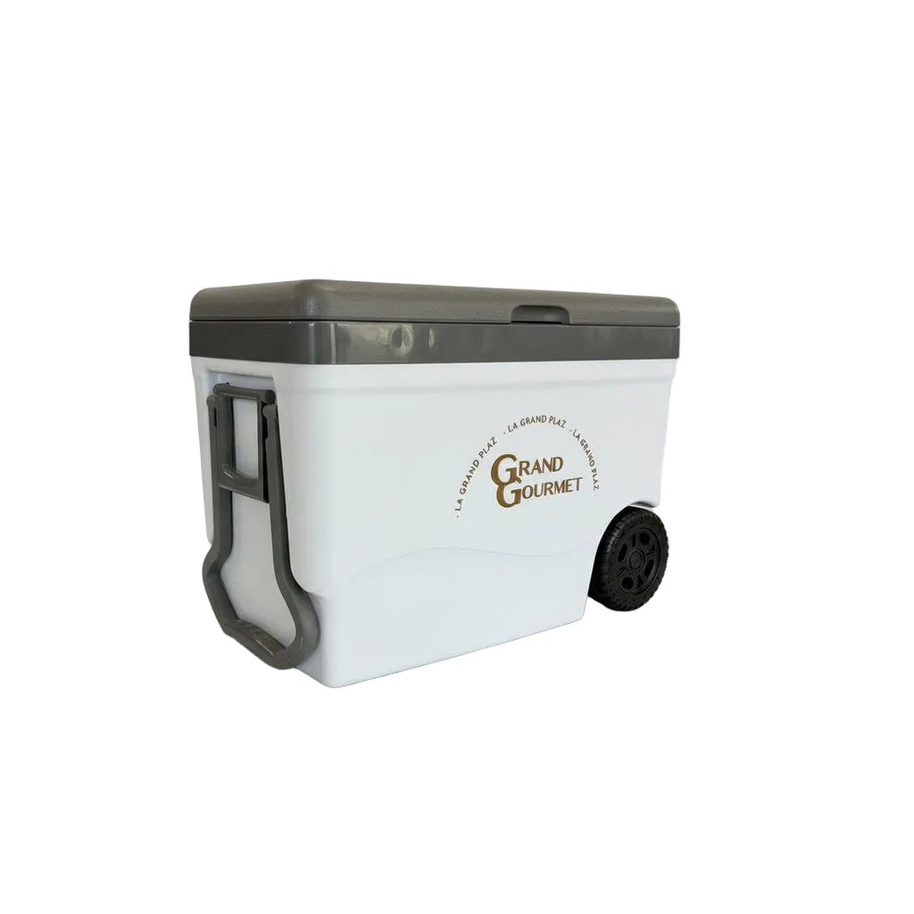 Decocar Cava Ice Roller 55L Und - Comprar online en Grand Gourmet Caracas con delivery