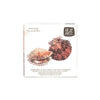Ar de Art Zamburiñas con Ajo y Guindilla 110 g