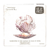 Ar De Art Zamburiñas En Salsa De Vieira 110g