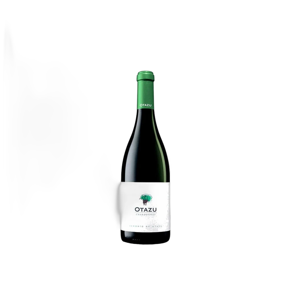otazu-chardonnay-0-75-lt-bot